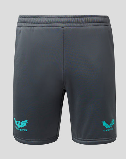 Mens 23/24 Fleece Travel Shorts