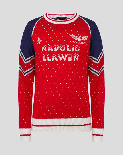 JUNIOR 24/25 CHRISTMAS JUMPER