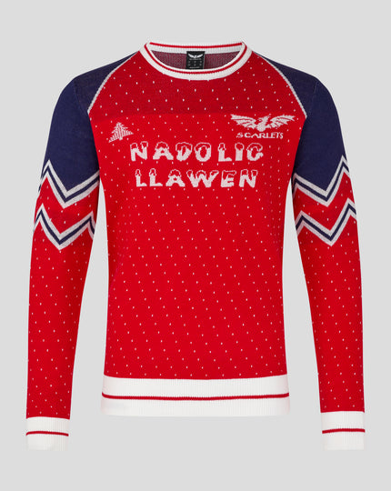 ADULTS 24/25 CHRISTMAS JUMPER