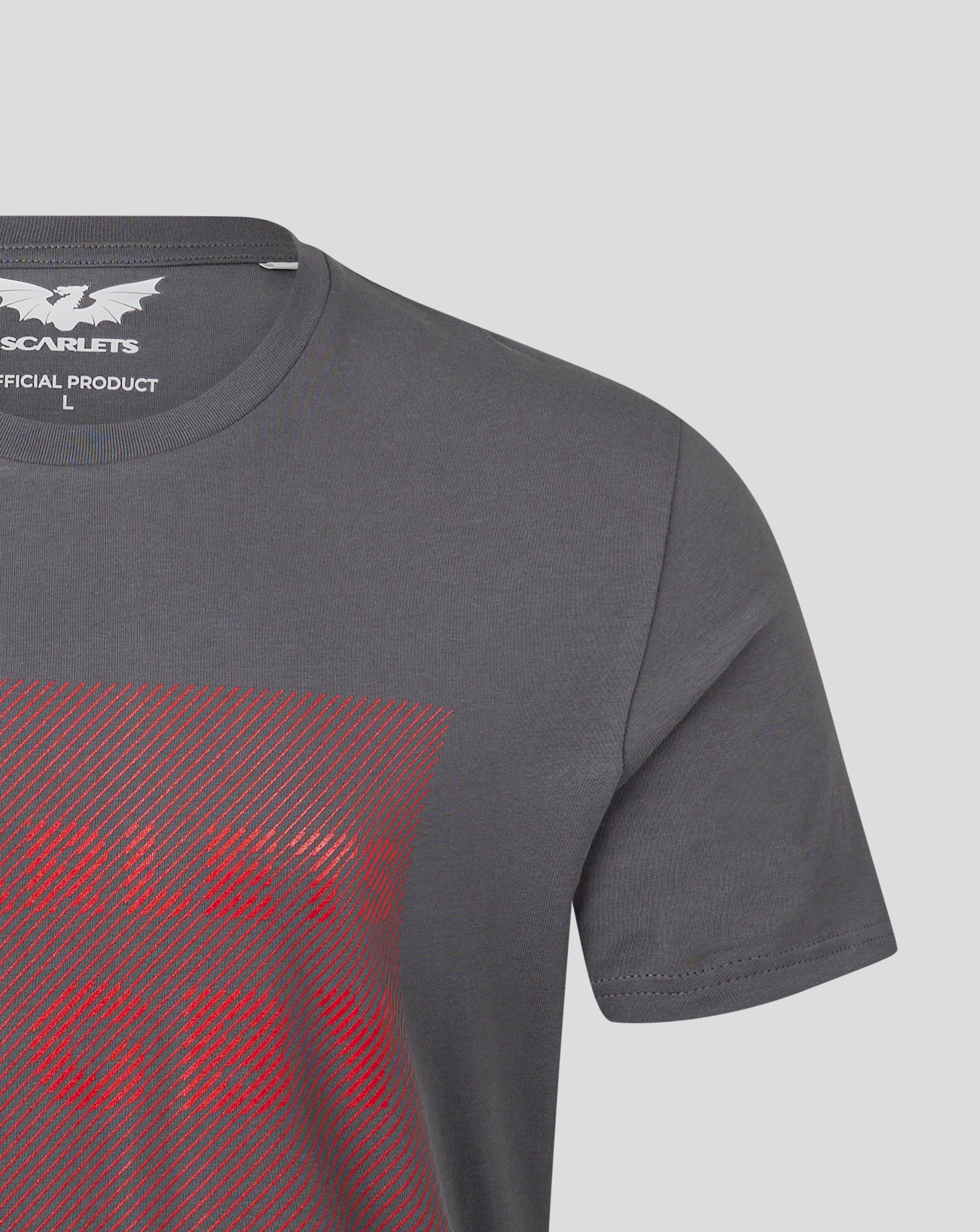 Scarlets Graphic T-Shirt - Grey