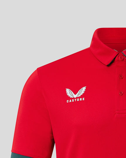 LIMITED EDITION Polo